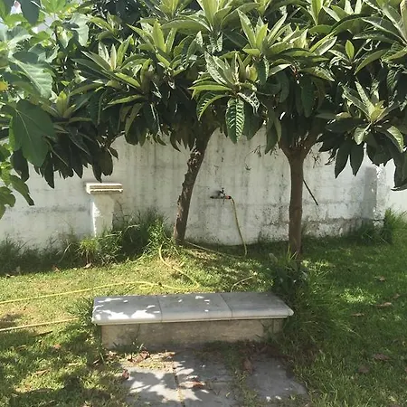 And Breakfast Antonuccio