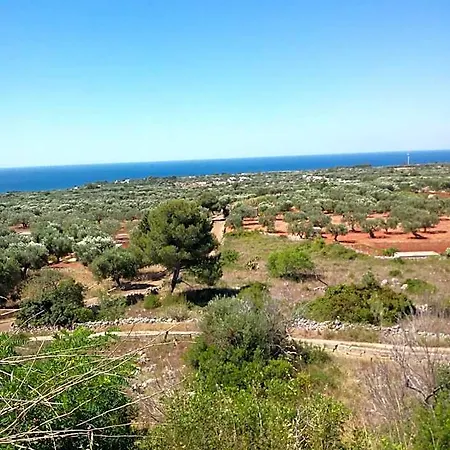 Antonuccio